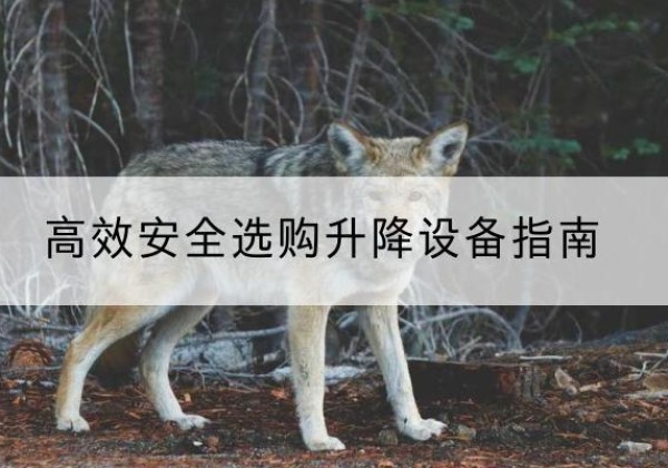 拜城升降货梯厂家推荐-*安全选购升降设备指南