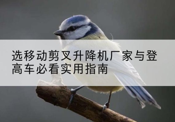 拜城电动升降机厂家-选移动剪叉升降机厂家与登高车必看实用指南