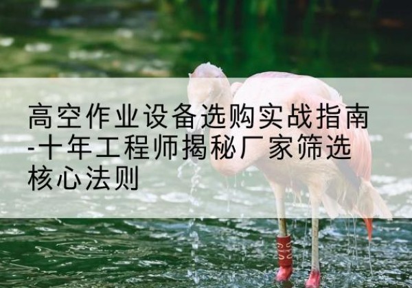 拜城剪叉式升降机厂家-高空作业设备选购实战指南-十年工程师揭秘厂家筛选核心法则